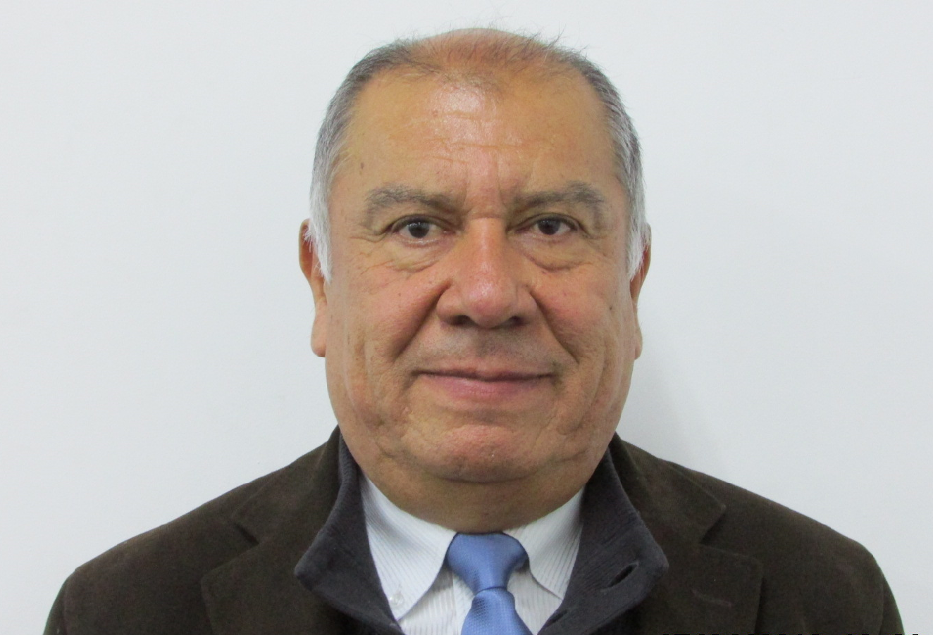 Prof. Fernando Salas Riquelme